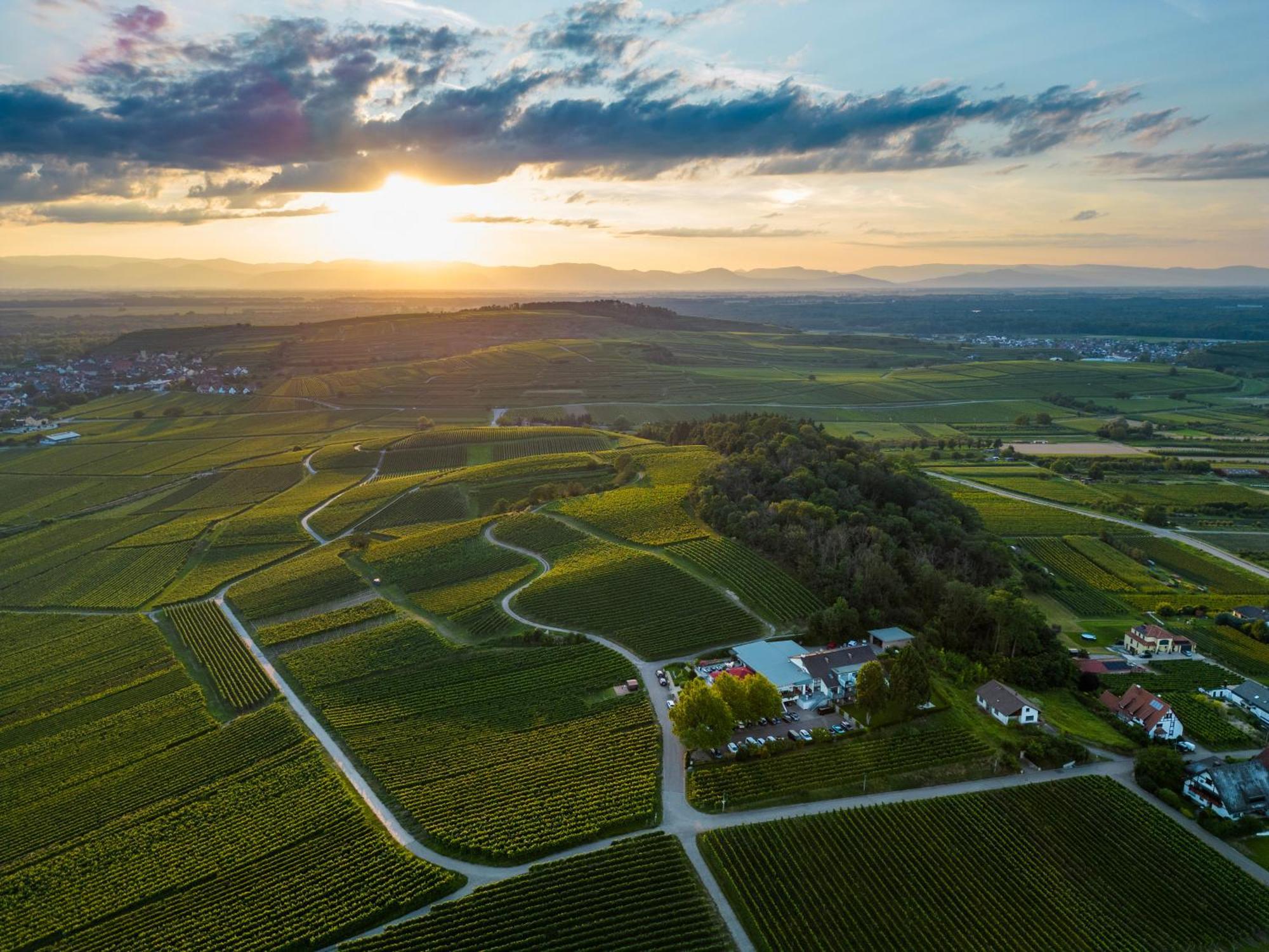 Hotel Koepfers Steinbuck Bischoffingen Esterno foto