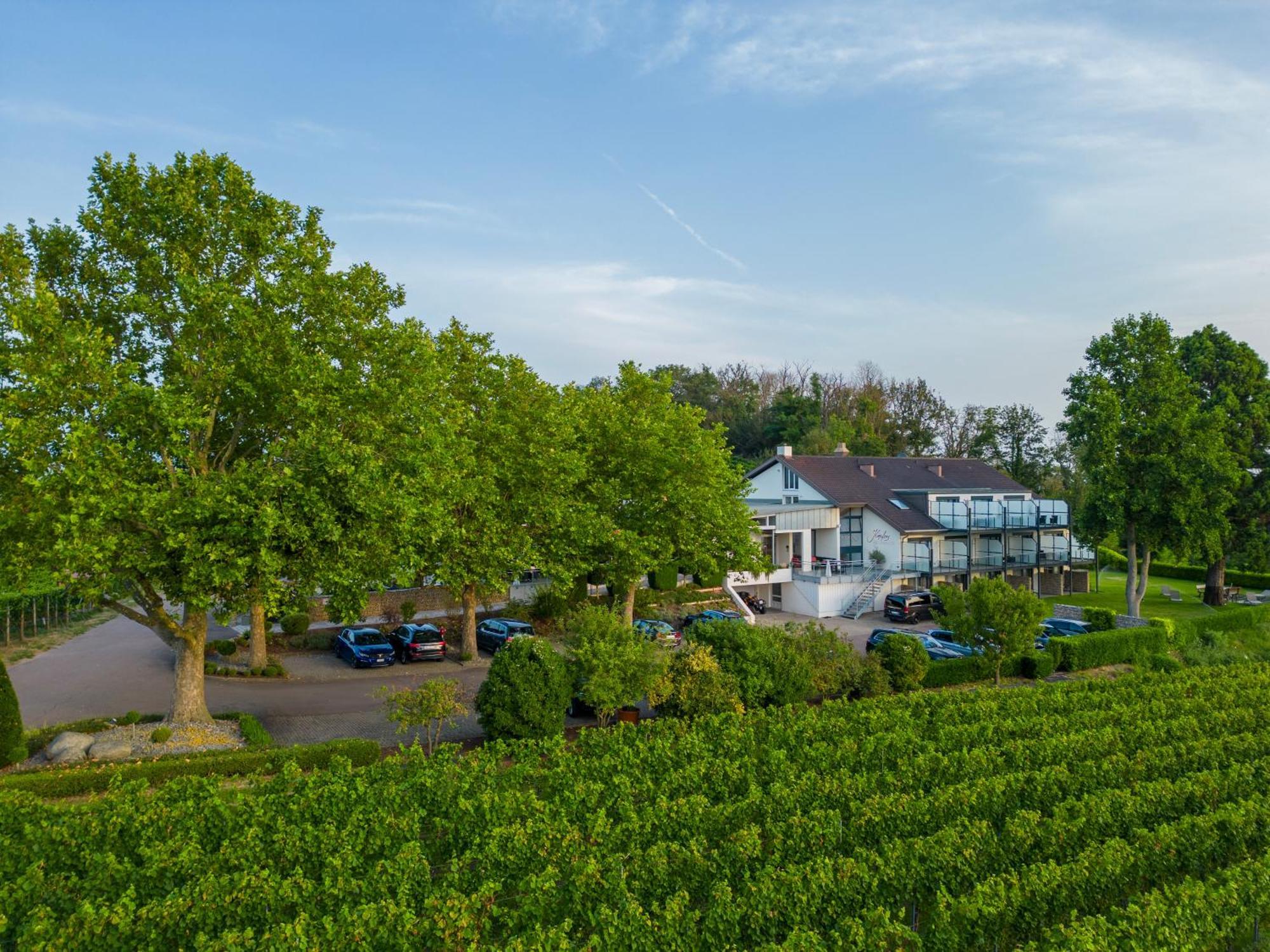 Hotel Koepfers Steinbuck Bischoffingen Esterno foto